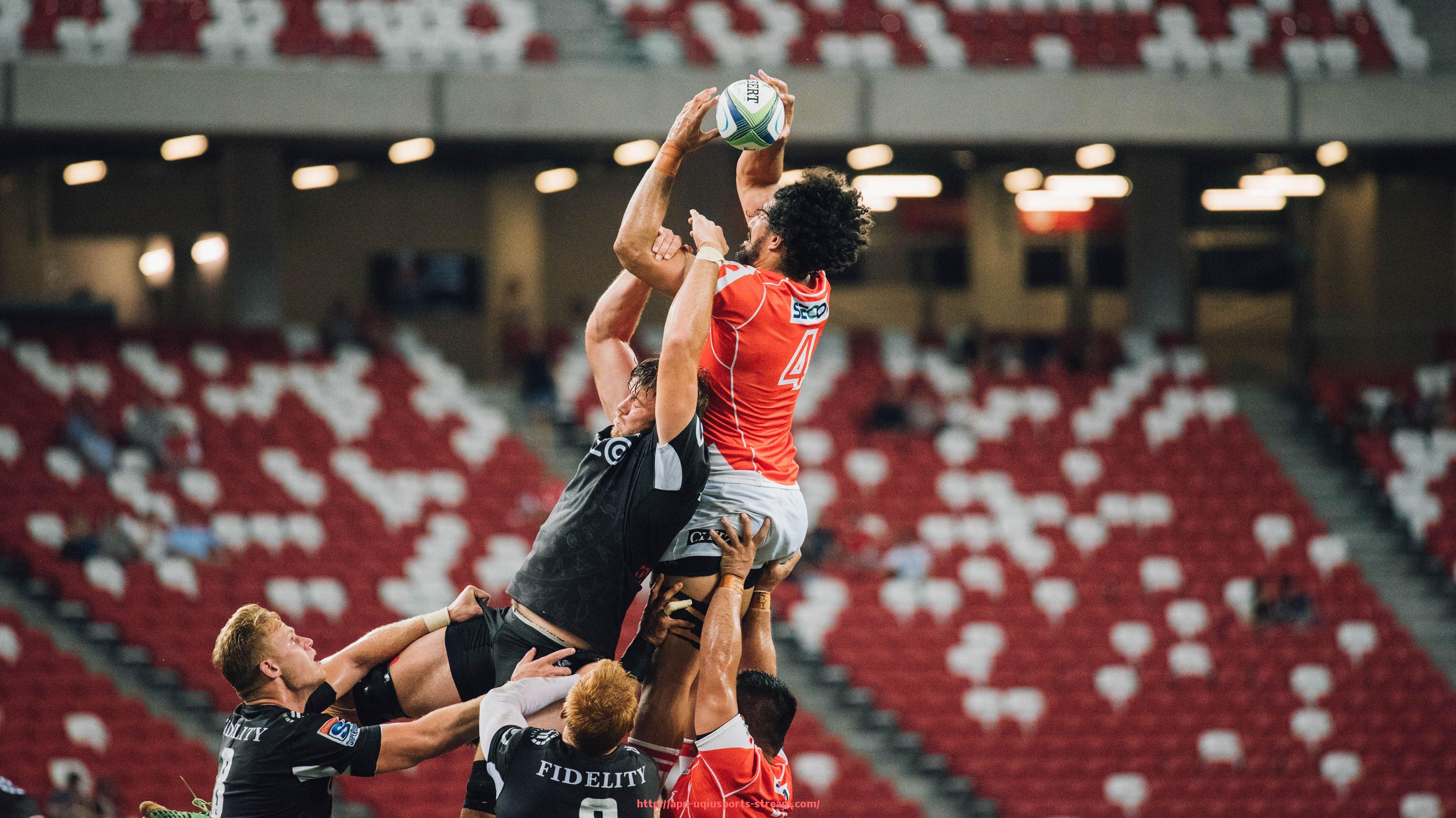 U球体育直播-家用背部健身器材推荐与使用指南:背部肌肉训练的家用健身器材选择与技巧